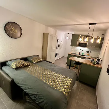 Climatise, Cosy Et Calme Au Centre Apartment Antibes